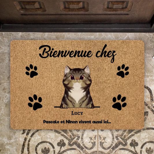 Willkommen bei den Katzen – personalisierter Teppich