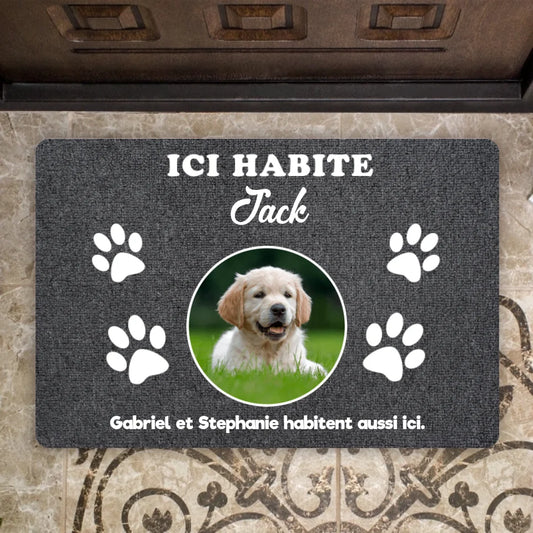 Hier lebt – hochgeladenes Foto – personalisierte Fußmatte für Hunde und Katzen