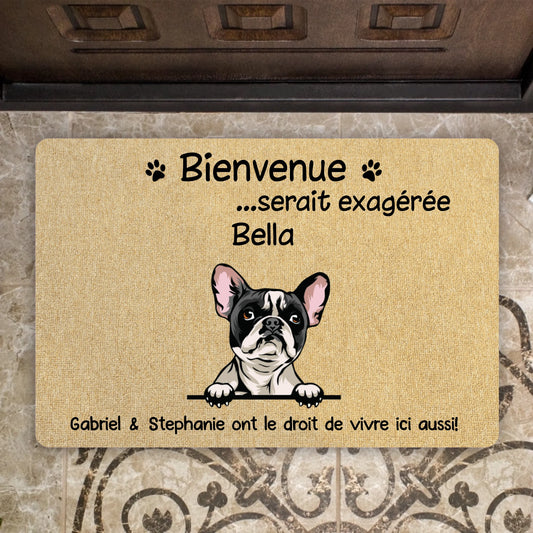 "Bienvenue ... serait exagérée"