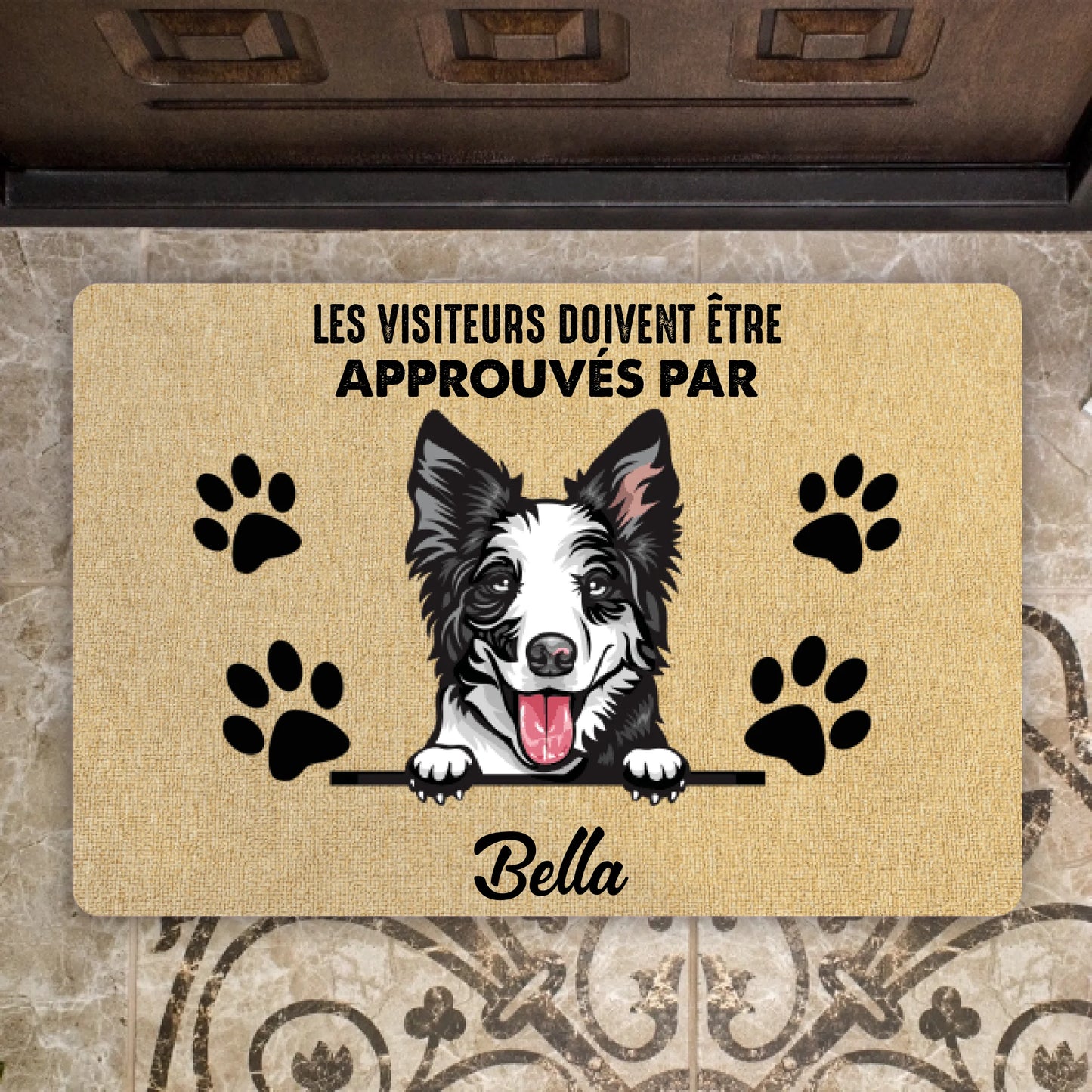 Paillasson Personnalisé Chien & Chat – Les Visiteurs Doivent Être Approuvés Par Vos Animaux